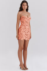 Ilayda-Sorbet Embroidered Floral Lace Mini Dress