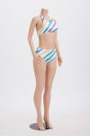 Contrast-Striped-Print-Two-Piece-Swimsuit-11